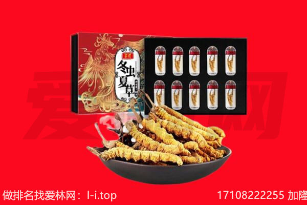 雅安市回收虫草.jpg